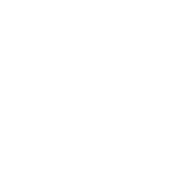 PELI